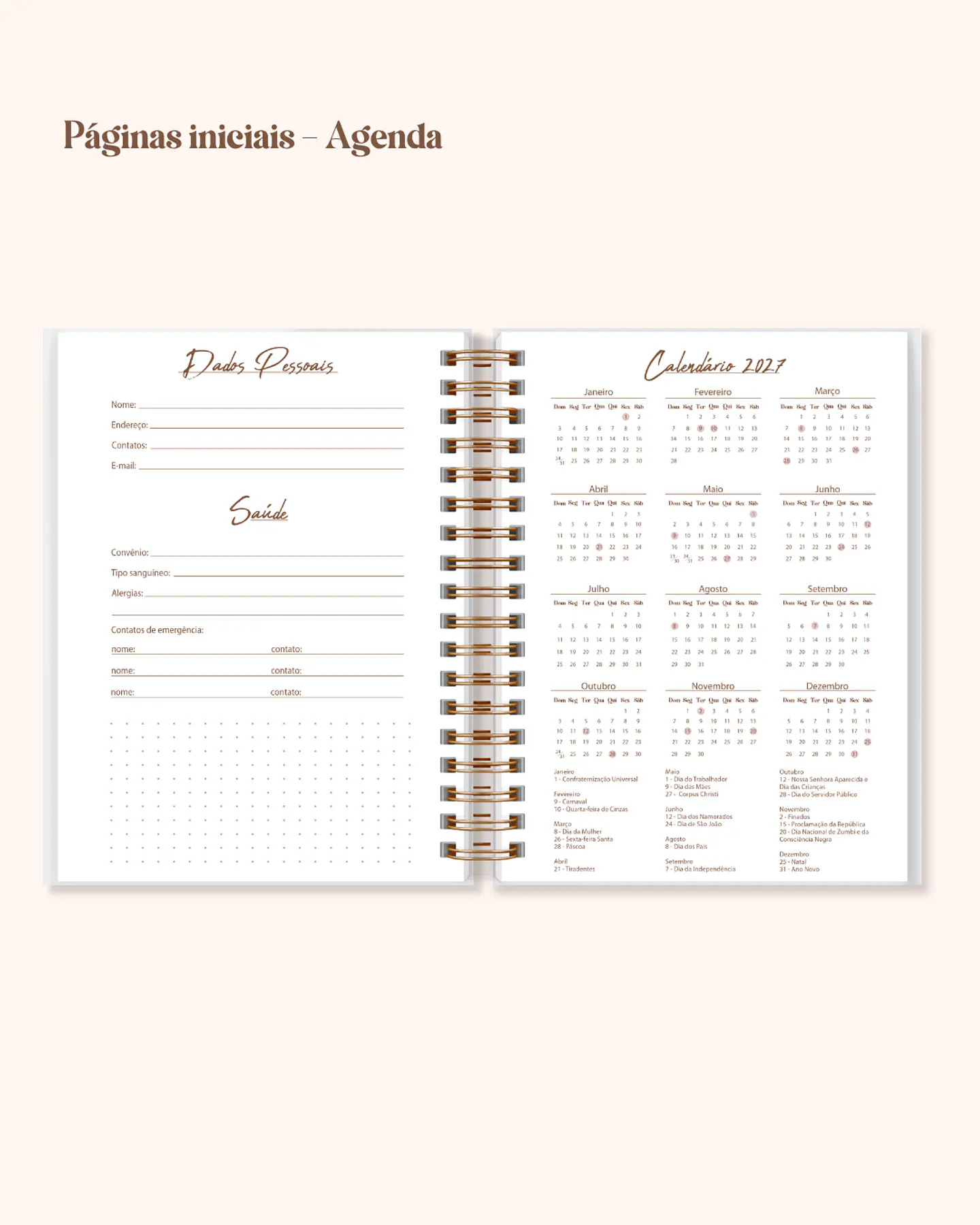 Arquivo Coleção Completa Planner e Agendas 4