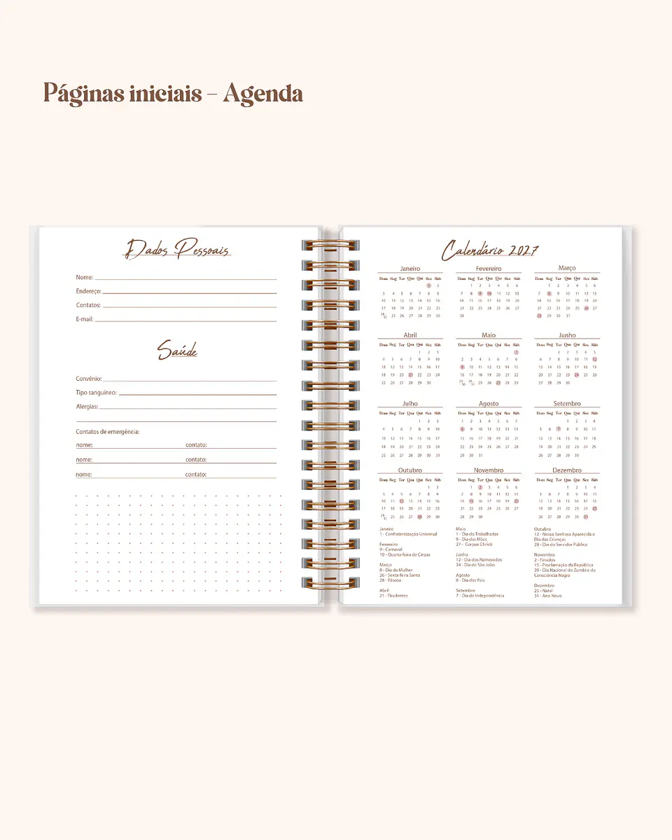 Arquivo Coleção Completa Planner e Agendas 4