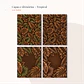 Arquivo Kit Capa Tropical  - Thumbnail 3