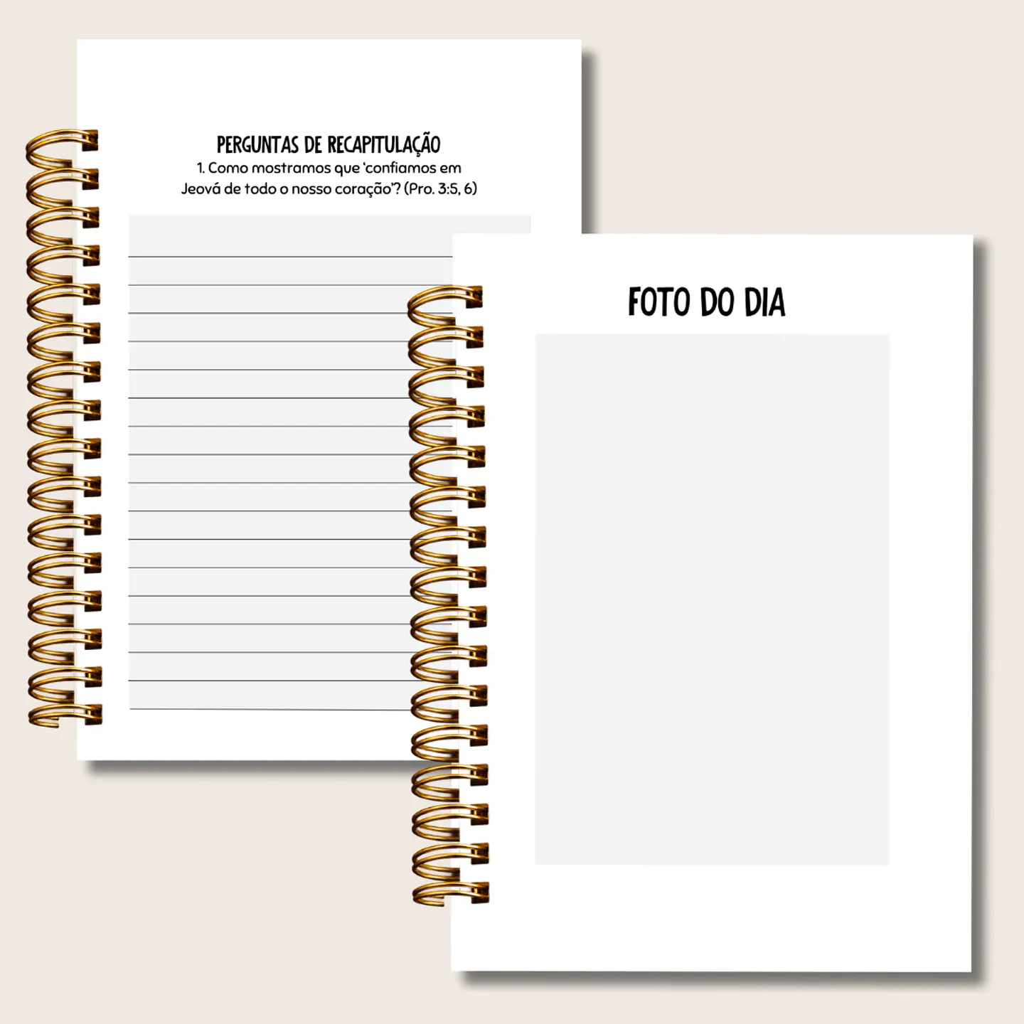 Arquivo Encadernação Caderno Assembléia 2026 2027 Masculino 2