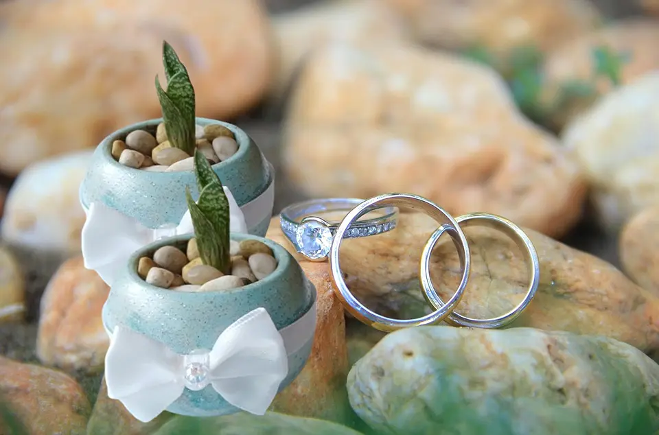 Recuerdos para Matrimonios y Eventos  7