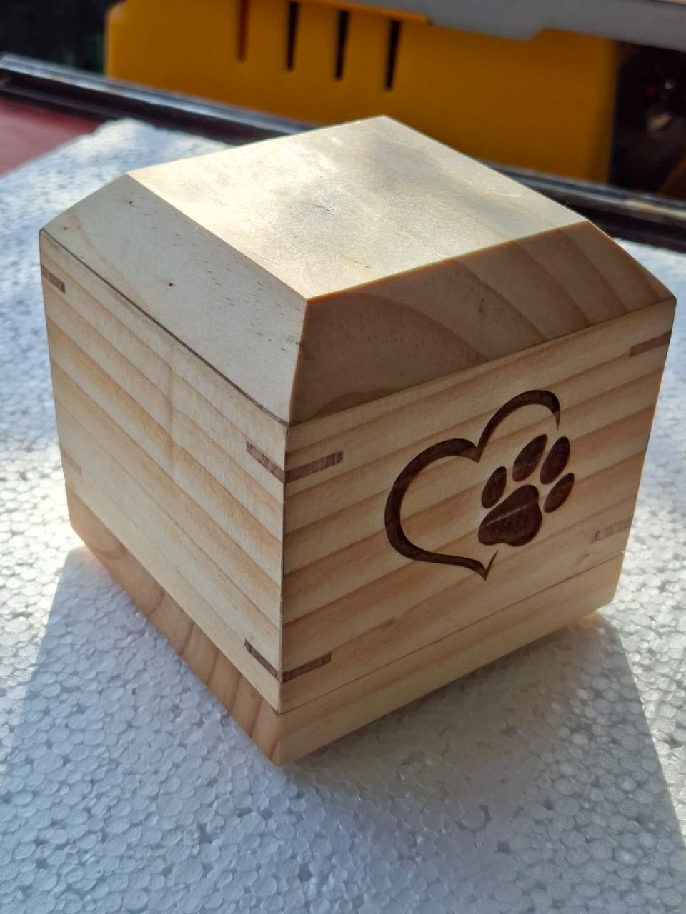 Set de mascotas de madera