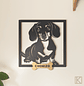 Dachshund - Miniatura 2
