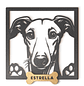 Galgo - Miniatura 1