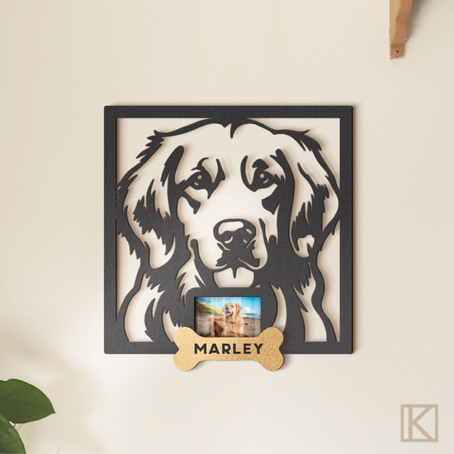 Golden Retriever con Foto 2