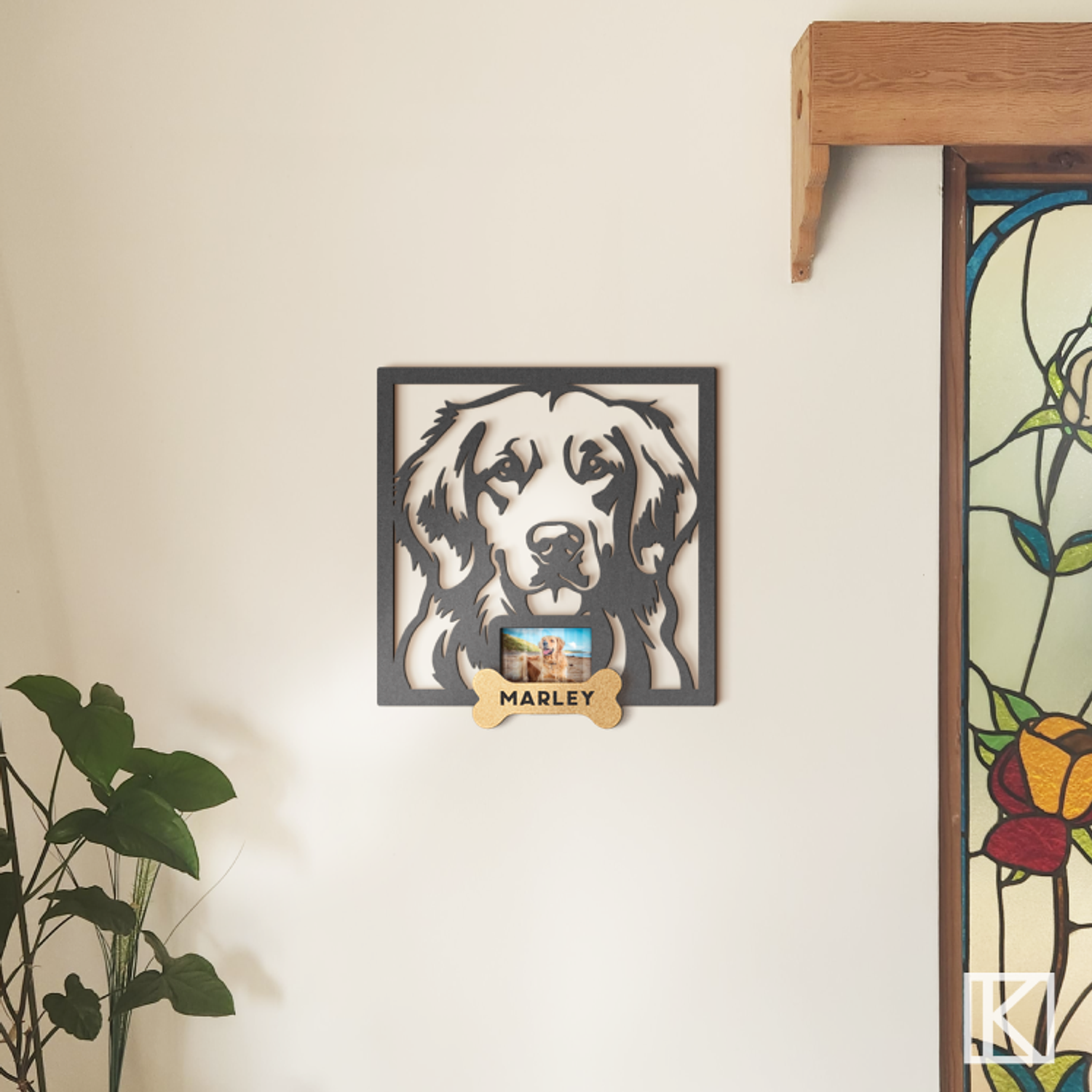 Golden Retriever con Foto 4