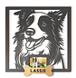 Border Collie con Foto - Miniatura 1