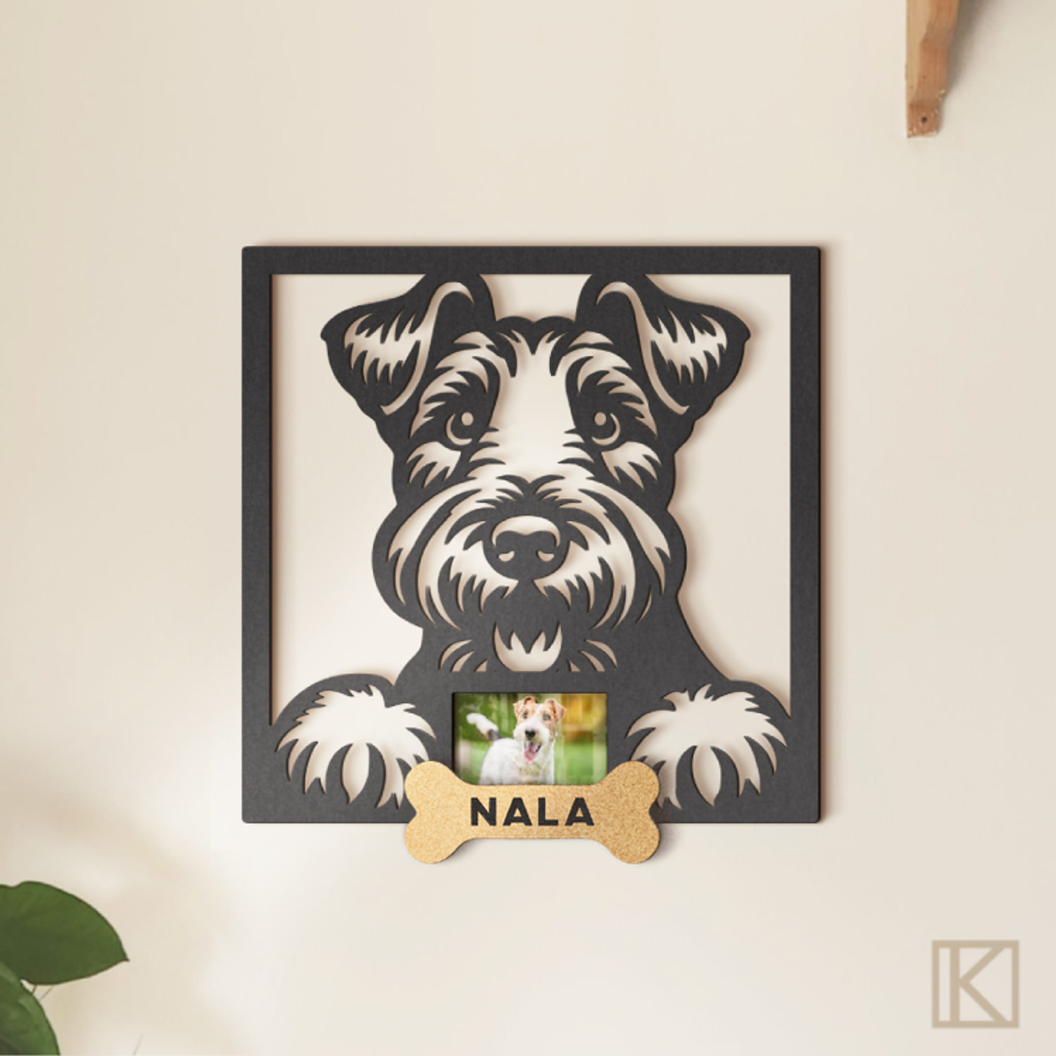 Schnauzer con Foto 2