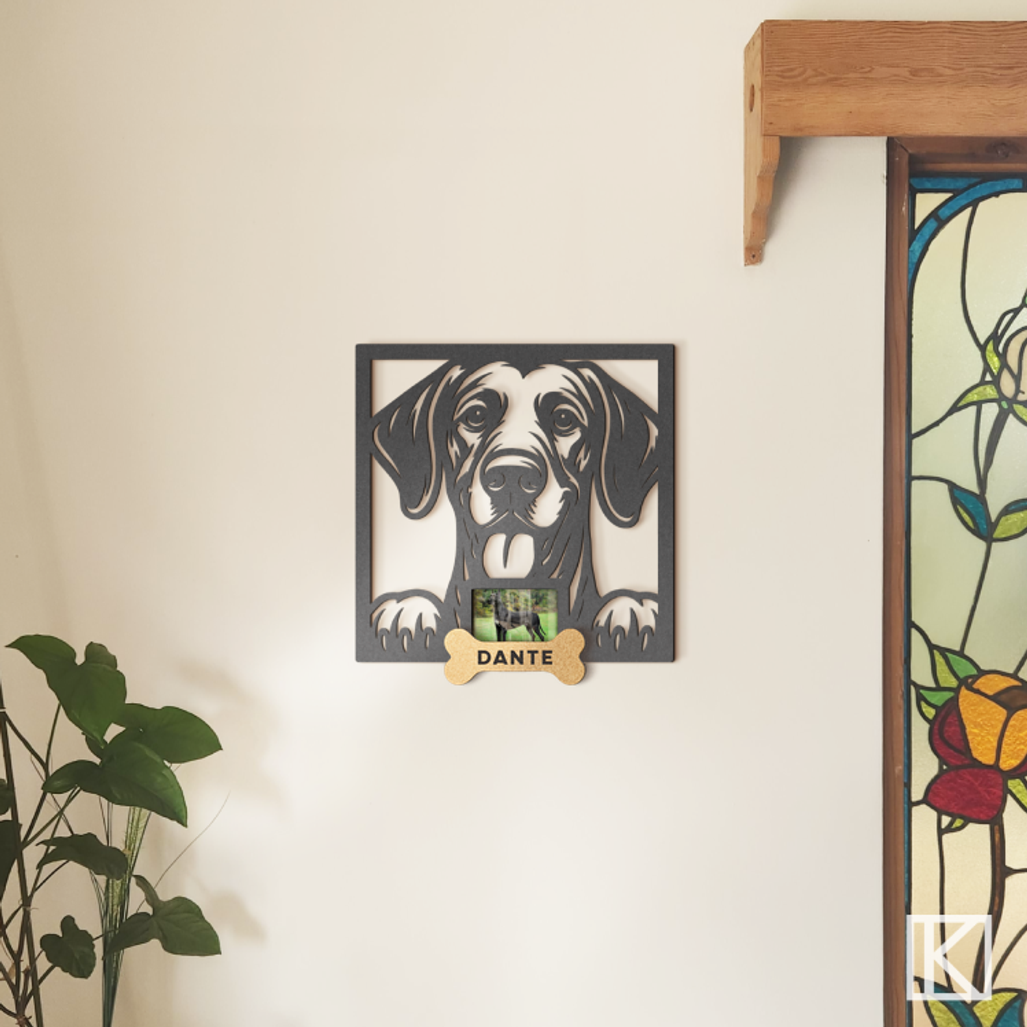 Gran Danés con Foto 3