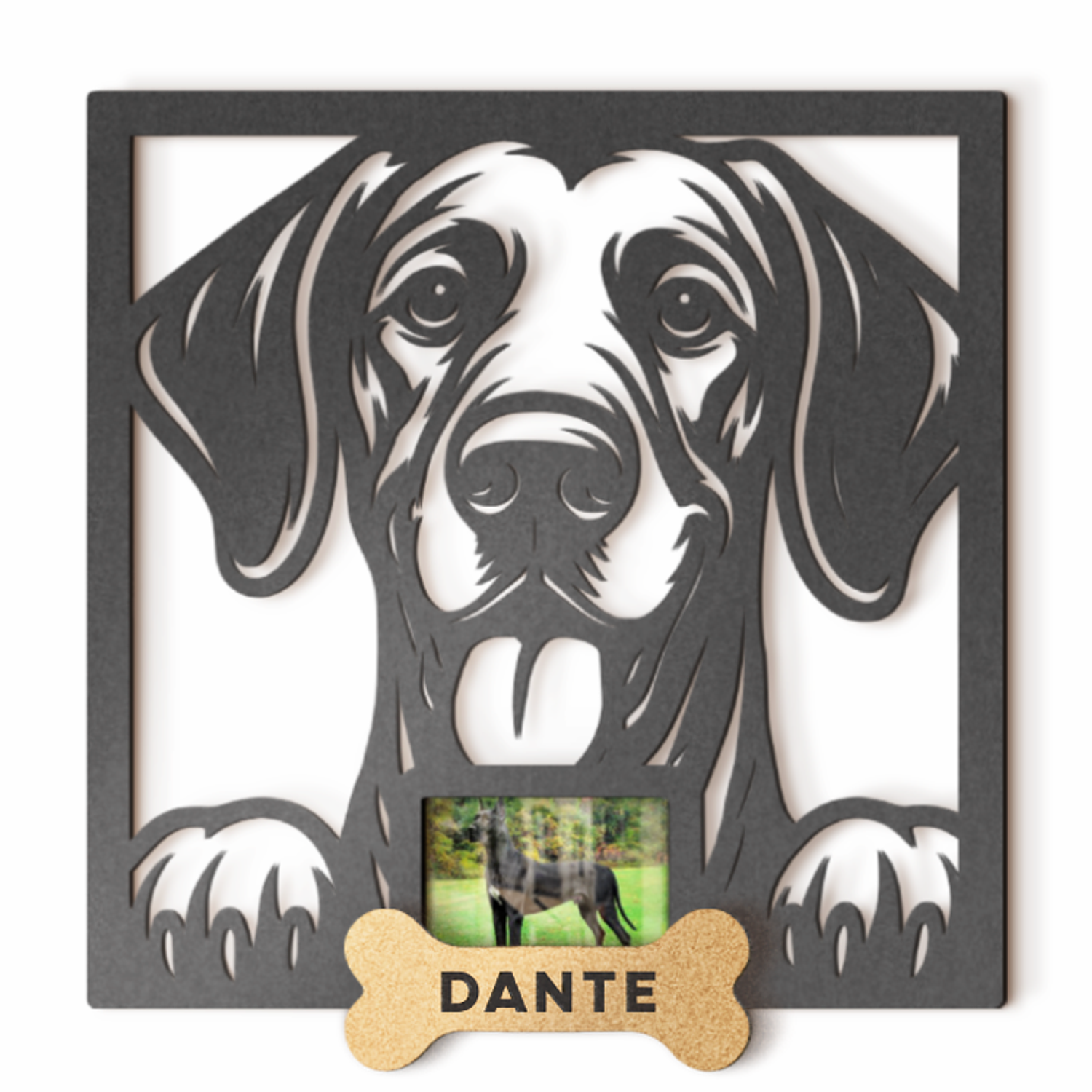 Gran Danés con Foto 1