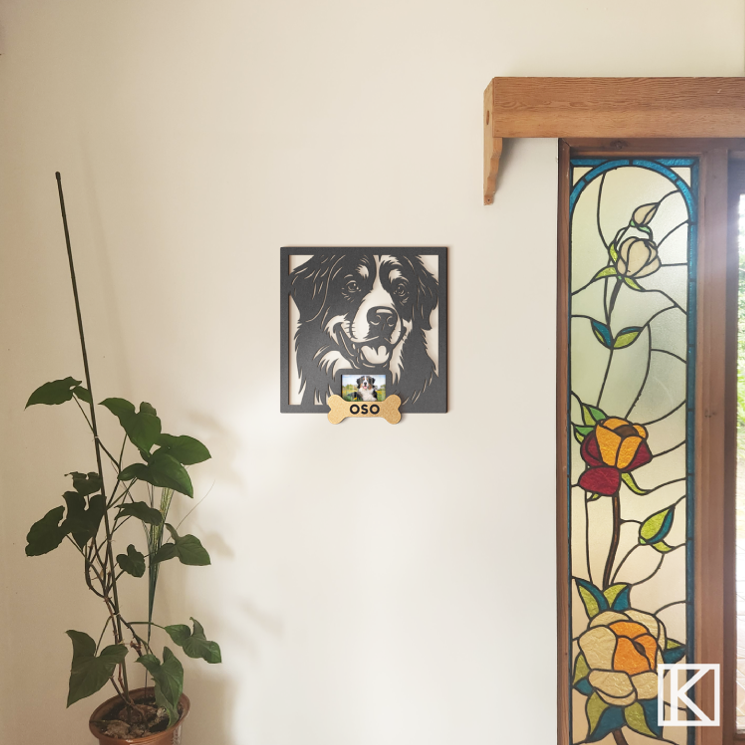 Boyero de Berna con Foto 4