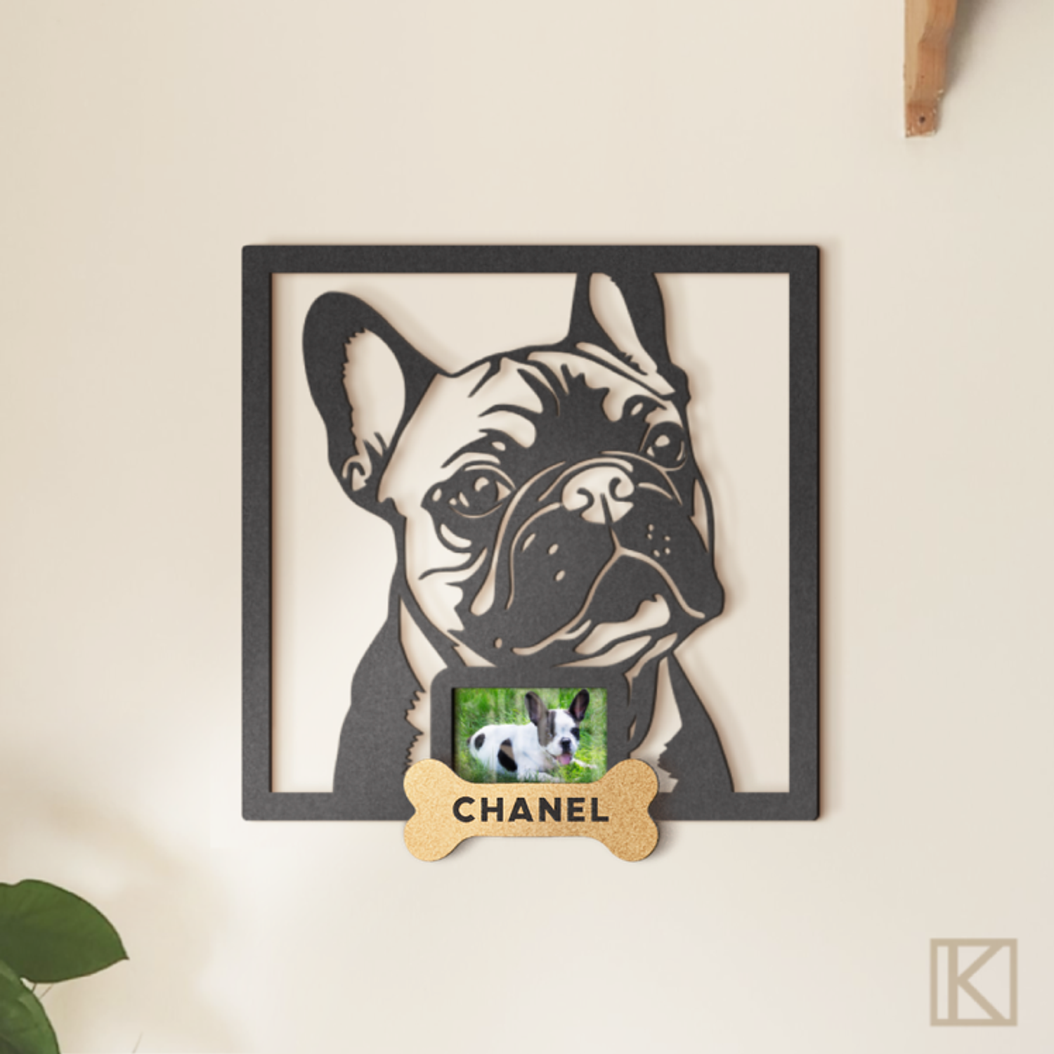 Bulldog Francés con Foto 3