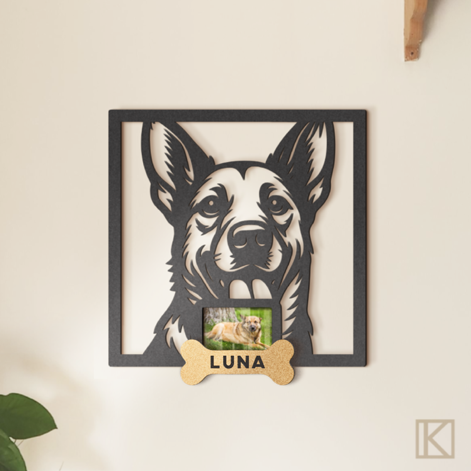 Mestizo con Foto VI 2