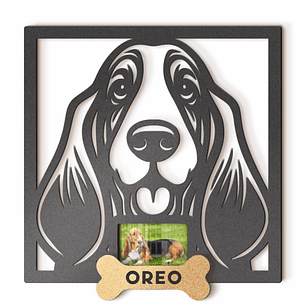 Basset Hound con Foto