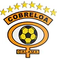 Escudo Cobreloa - Miniatura 1