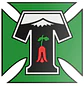 Escudo Deportes Temuco - Miniatura 1