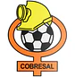 Escudo Cobresal - Miniatura 1