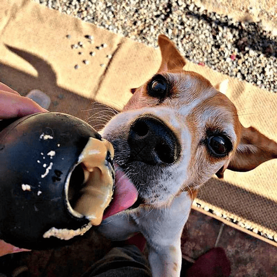Smuttdog Mantequilla de maní 100% natural para perros