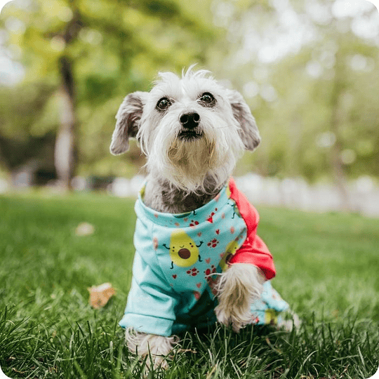 Polera Quickdry® UV 50+ Palta lovers 