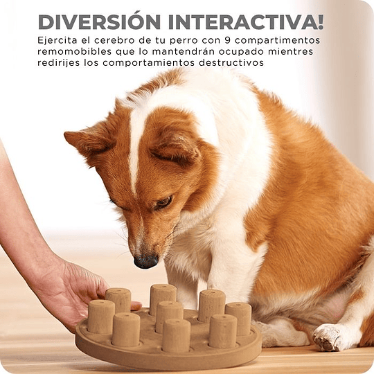 Dog Smart Composite Nivel 1