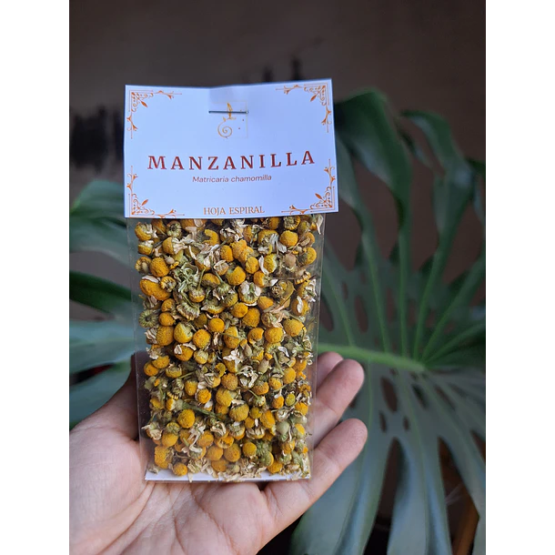 Manzanilla