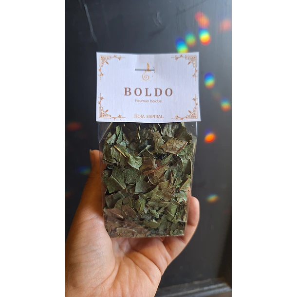 Boldo 2