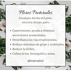 flores pectorales 2