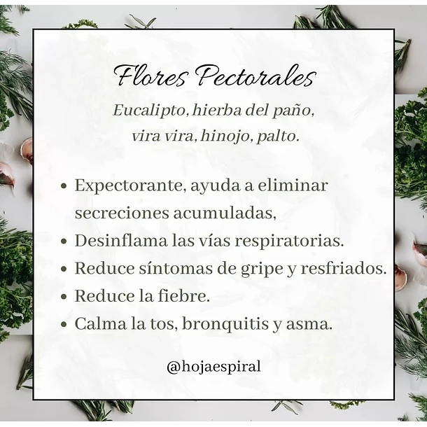 flores pectorales 2