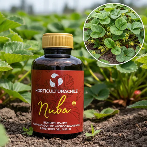 NUBA® Bioestimulante para Plantas – Crecimiento y Floración 280cc