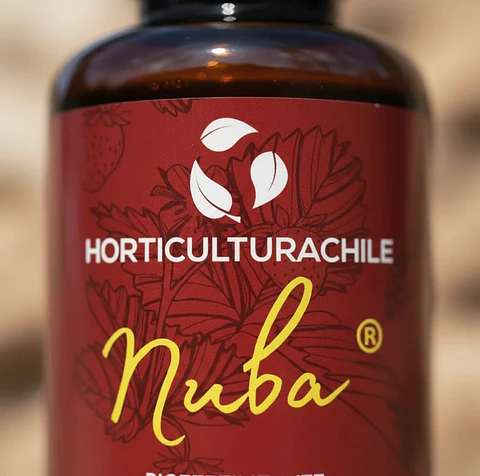 NUBA® Bioestimulante para Plantas – Crecimiento y Floración 280cc