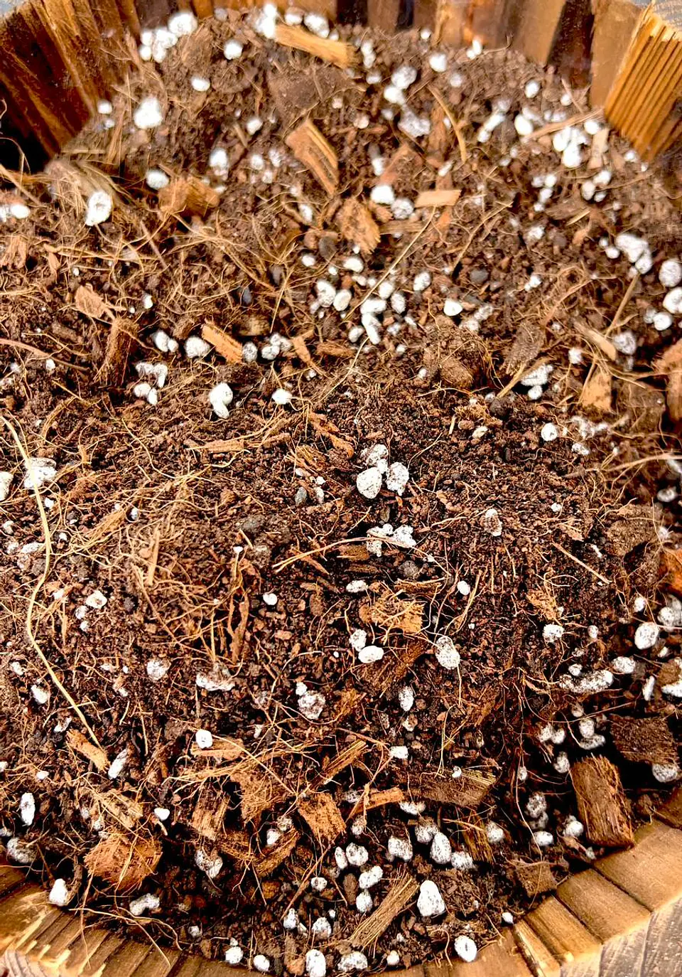 Sustrato Premium para Plantas de Interior y Tropicales – 5, 10 y 20 L 3