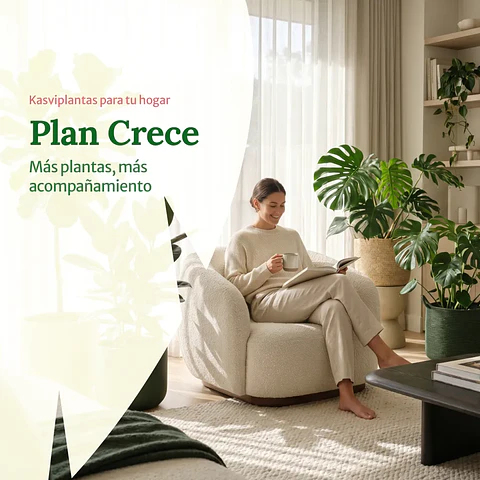 Plan Hogar Crece - Plantas medianas y grandes