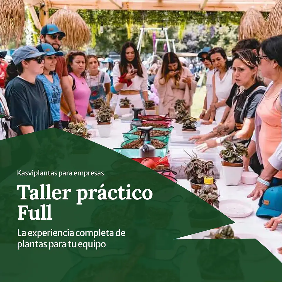 Taller práctico: Cómo cuidar tus plantas — Full 1