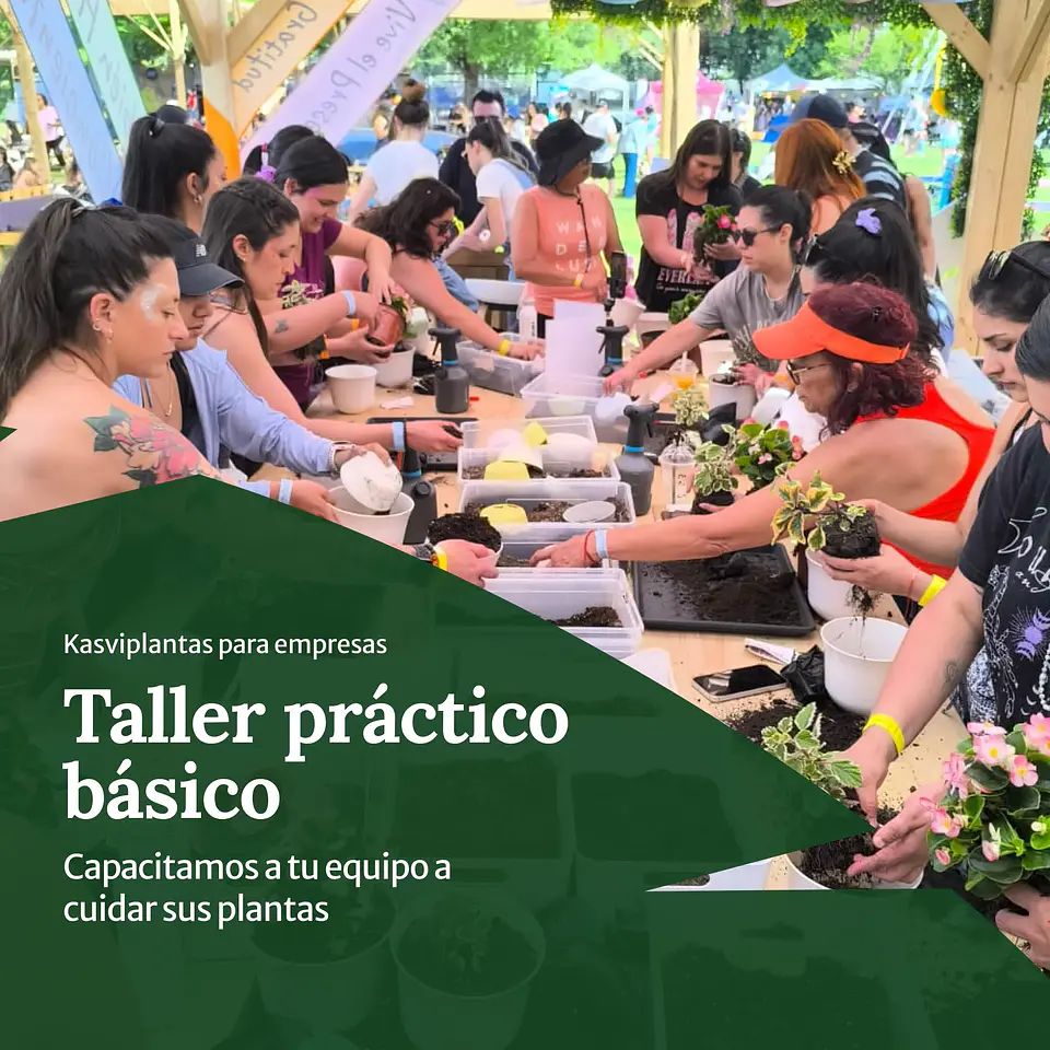 Taller práctico: Cómo cuidar tus plantas — Básico 1