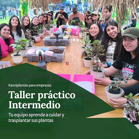 Taller práctico: Cómo cuidar tus plantas — Intermedio