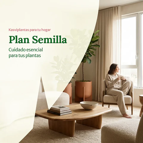 Plan Hogar Semilla - Cuidado esencial para tus plantas