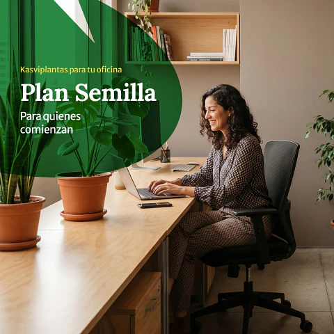 Plan Empresas Semilla - Para quienes comienzan
