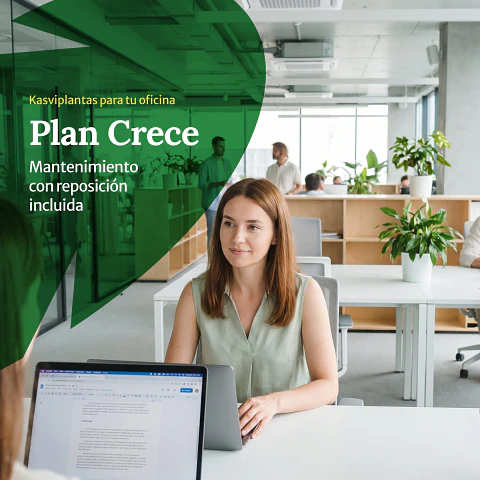 Plan Empresas Crece – Mantenimiento con reposición incluida