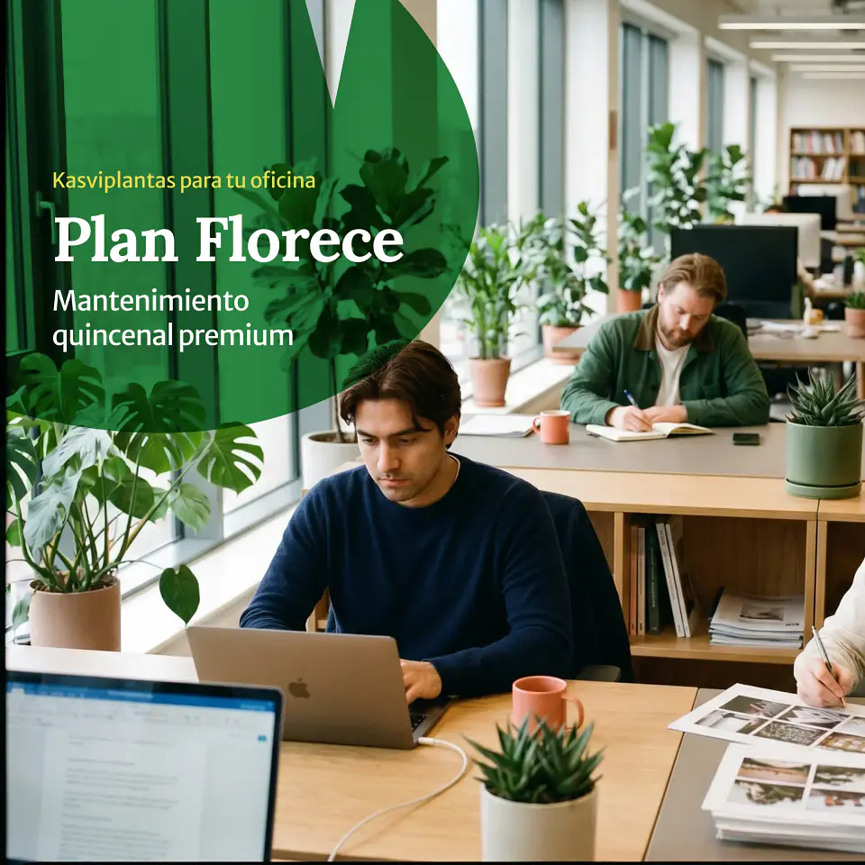 Plan Empresas Florece – Mantenimiento quincenal premium 1