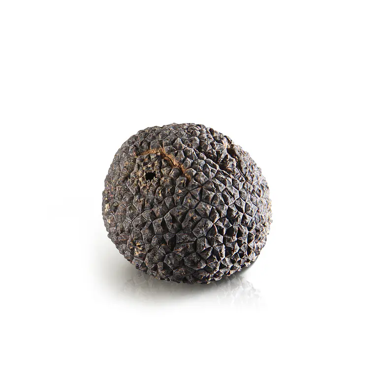 TRUFAS NEGRAS NEGRAS FRESCAS 30 GRS.  + ACEITE DE OLIVA CON AROMA DE TRUFAS NEGRAS 50 ML.  2