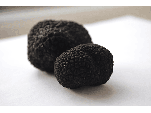 50 gr. de TRUFAS NEGRA FRESCA  (DISPONIBLE PROXIMA TEMPORADA DESDE JUNIO 2026). 