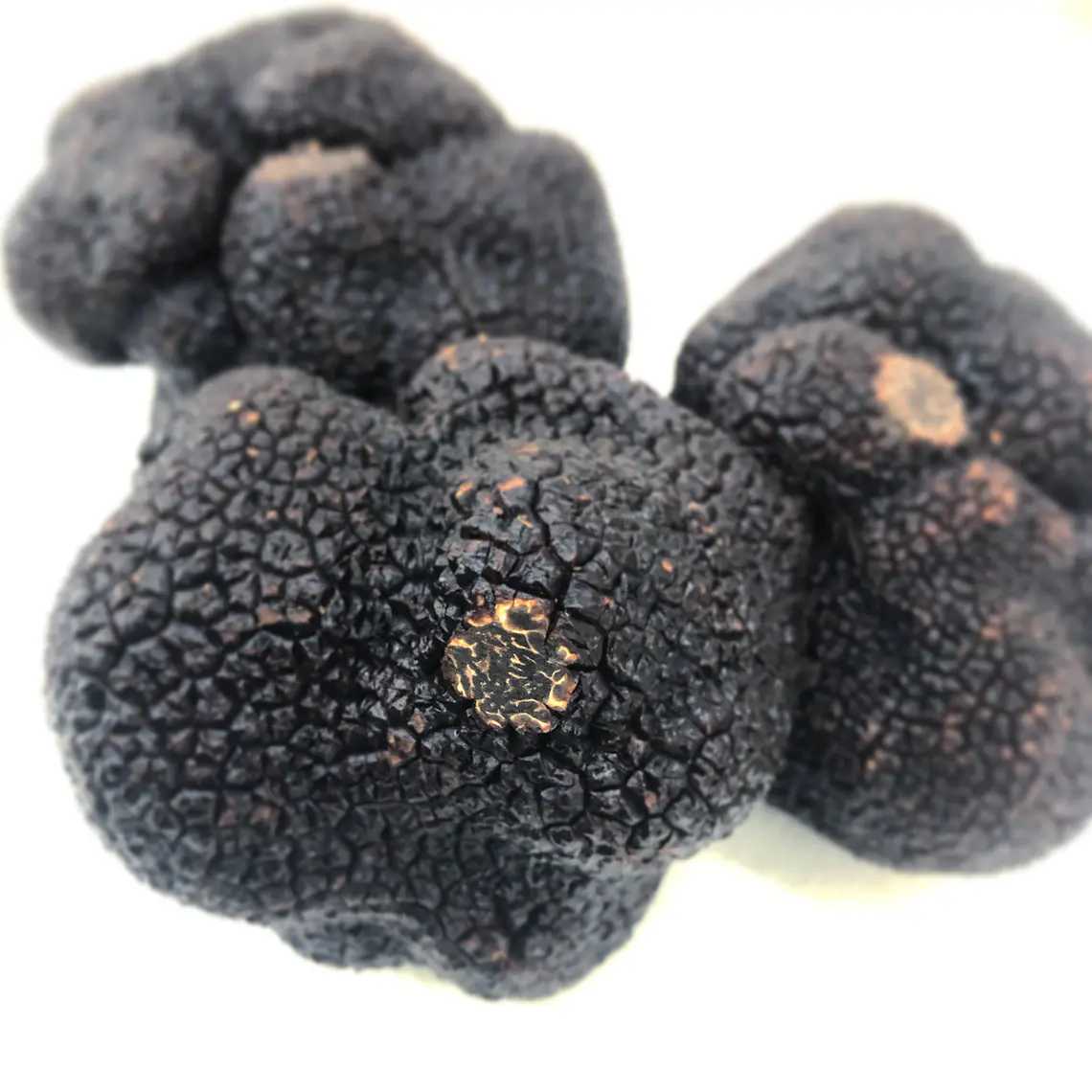 30 gr. Trufa negra Fresca (disponible JUNIO-JULIO-AGOSTO) 4