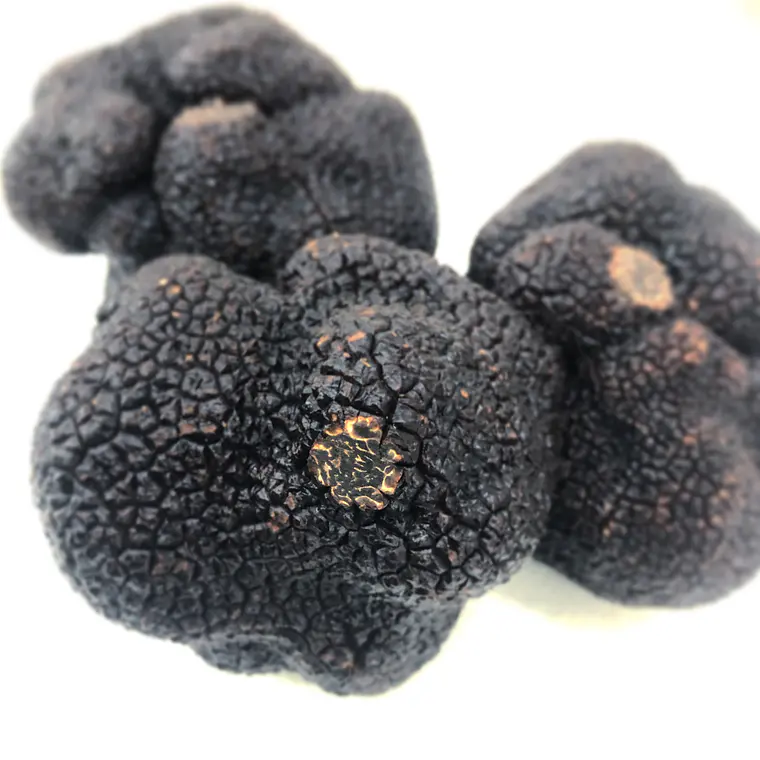  30 gr. Trufa negra Fresca (disponible JUNIO-JULIO-AGOSTO) 4