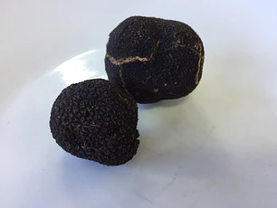 Pack Trufas Negras Frescas 60 gr + Aceite con aroma a trufa negra 250 ml 