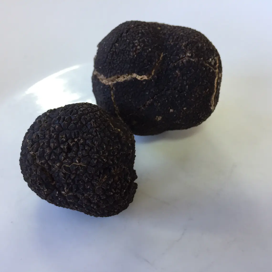 Pack Trufas Negras Frescas 60 gr + Aceite con aroma a trufa negra 250 ml  1