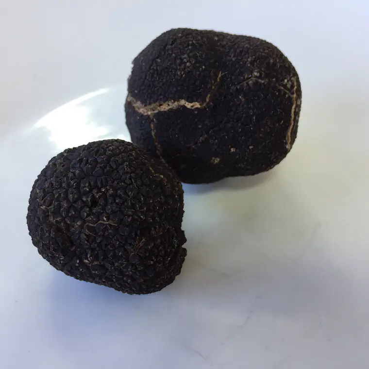 Pack Trufas Negras Frescas 60 gr + Aceite con aroma a trufa negra 250 ml  1