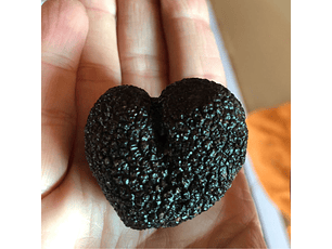 30 gr de Trufas negra fresca  (DISPONIBLE PROXIMA TEMPORADA DESDE JUNIO 2026)