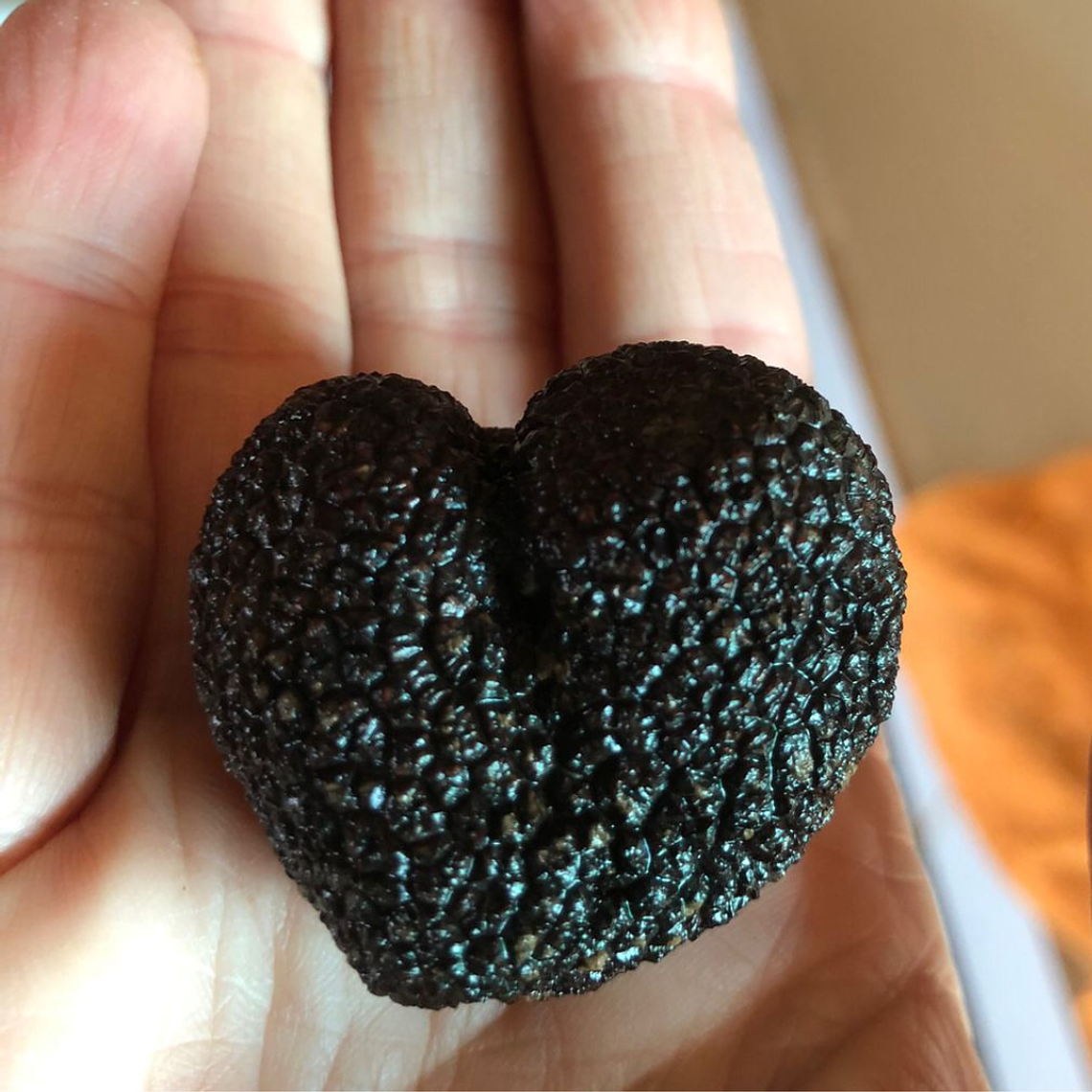 30 gr de Trufas negra fresca  (DISPONIBLE PROXIMA TEMPORADA DESDE JUNIO 2026) 1