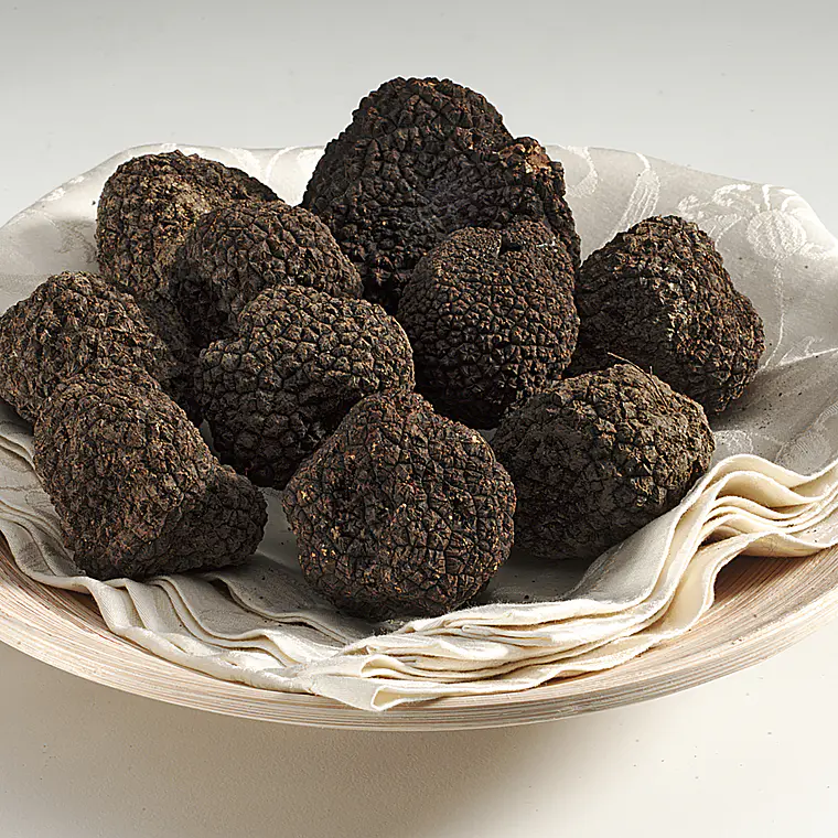  30 gr. Trufa negra Fresca (disponible JUNIO-JULIO-AGOSTO) 6