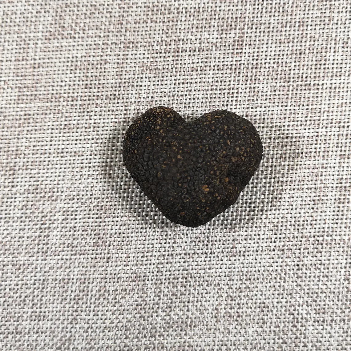  30 gr. Trufa negra Fresca (disponible JUNIO-JULIO-AGOSTO) 7